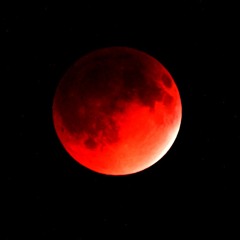 The Other Side Of Love