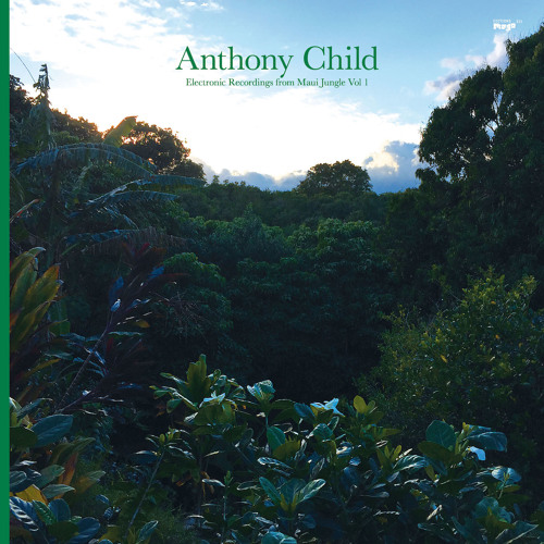 Anthony Child 'All Around And Inside' (EMEGO 215)