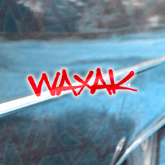 WAXAK Record Store - Album Snippets