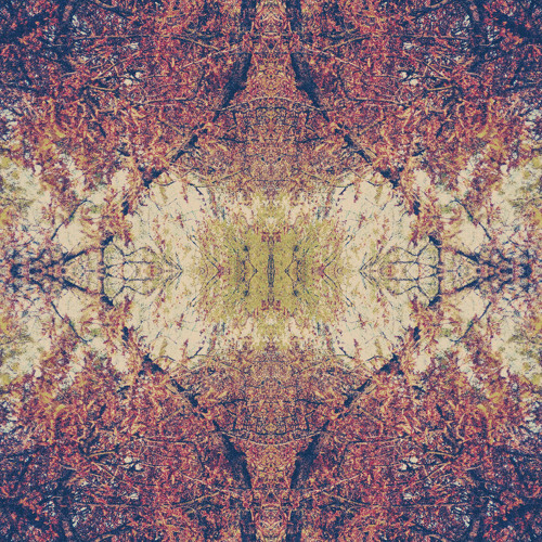 Psybient/Ambient/Chill