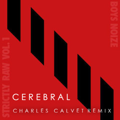 Boys Noize & Pilo - Cerebral (Charles Calvet Moombah Remix)