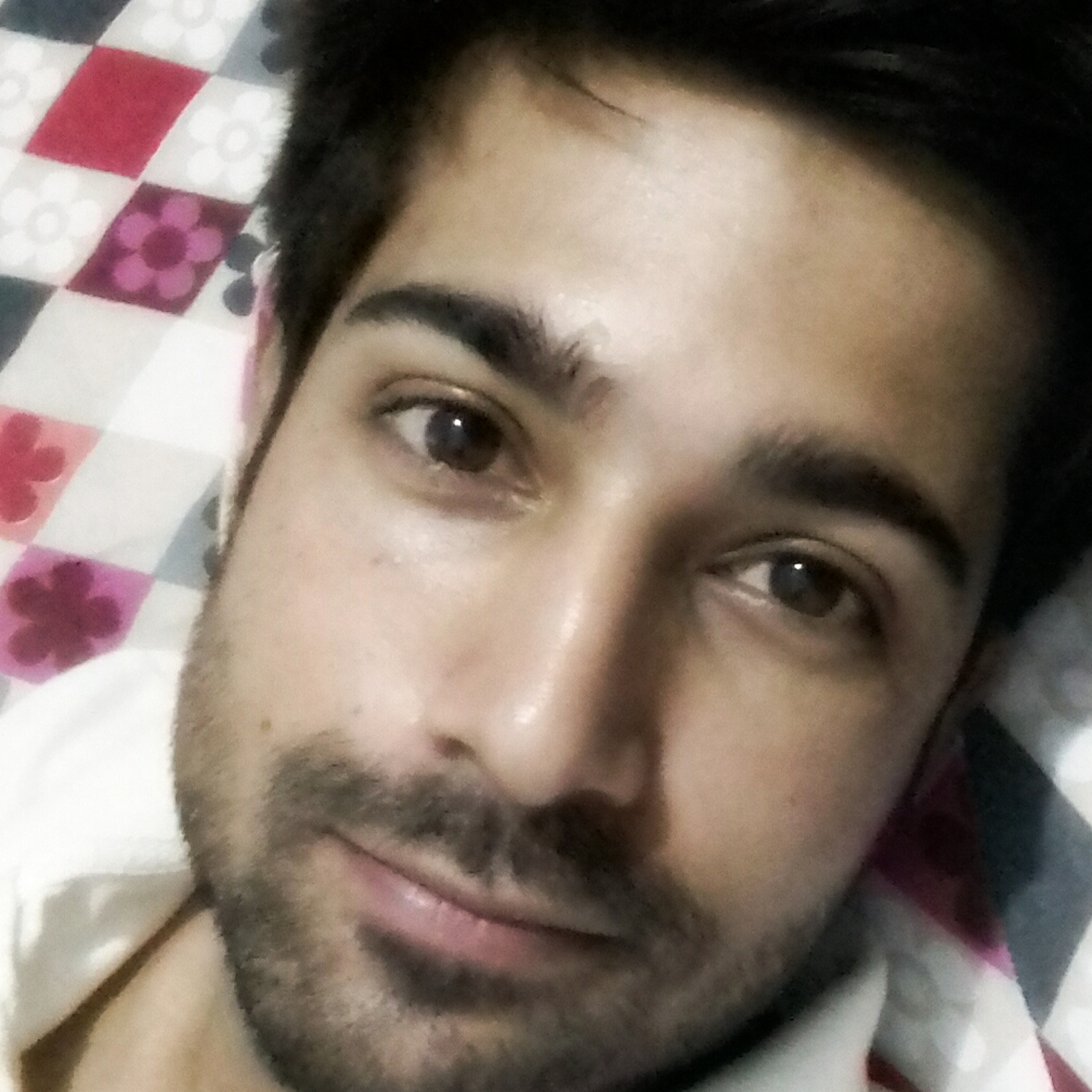 Sheharyarteetu