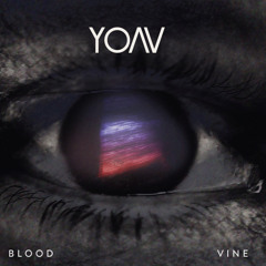 Yoav - Blink