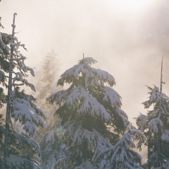 Höst & Vinter 15/16