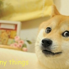 "Custom &amp; <b>Title</b> &copy;"