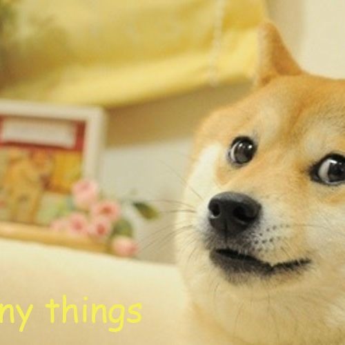 "Custom &amp; <b>Title</b> &copy;"