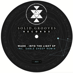 Premiere: Wade - Throwin Down [Solid Grooves]