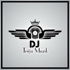 Nonstop - Fly Vol.5 - Best Tracks Of The Month - DJ Triệu Muzik Mix