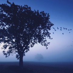 Blue Hope ( x Scared. )