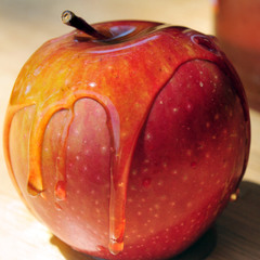 DJ ZOMBI - Apple & Honey