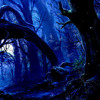 Trippy Experience Psychedelic Progressive Psy Trance Mix Mp3