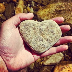 Young Hearts Unplugged - Live