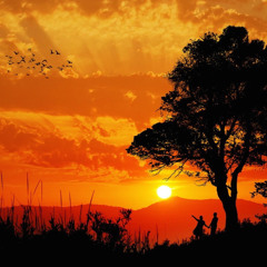 After an Endless Afternoon