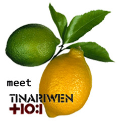 Remix Ethno Mr Citron Met Tinariwen