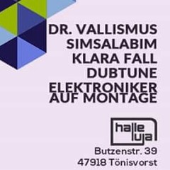 Klara Fall @ Beat Factory, Halle Luja 05.09.2015