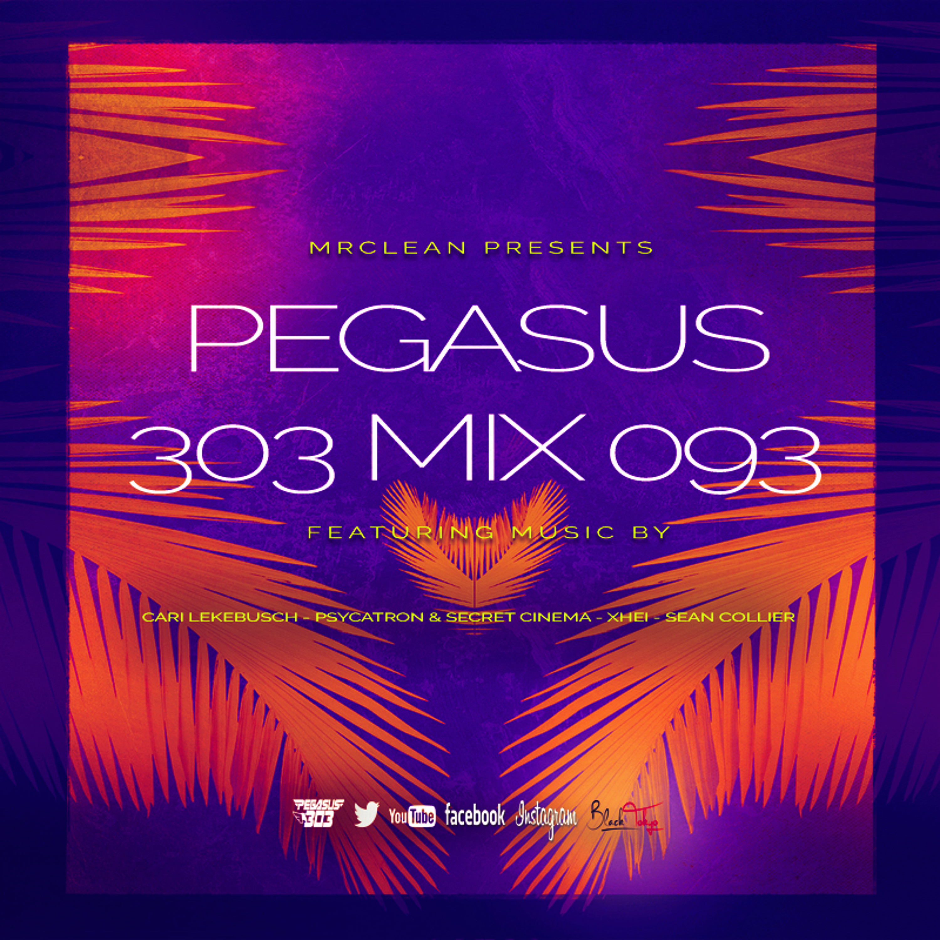 Pegasus 303 (mrclean)
