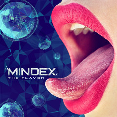 Mindex feat. Milena Sarkisyan - Don't Try To Teach Me