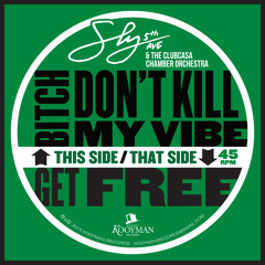 Sly5thave & The Clubcasa Chamber Orchestra - Bitch Don't Kill My Vibe