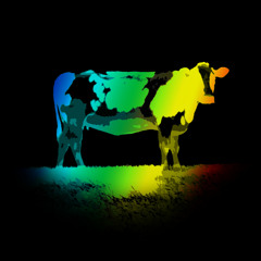 live @ Guerillastock festival