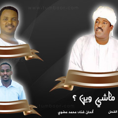 يا ماشي وين