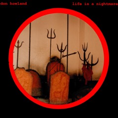 Don Howland - Gonna Shake It (Until It Dies)