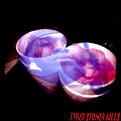 Tyger Stoner Kills Pop She Liked Tha Work (LOYAL MURDER CLIQUE $$)