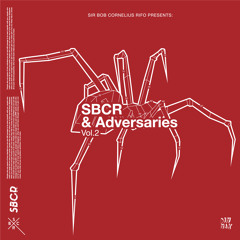 SBCR (Sir Bob Cornelius Rifo aka The Bloody Beetroots) - Rise & Fall
