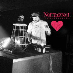 2015 Set @ Nocturnal Wonderland's Silent Disco