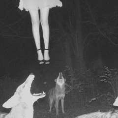 alwayslookbackwhenbeingchased