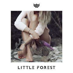 Little Forest ft. Moss