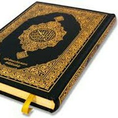 الشيخ محمد مصطفي