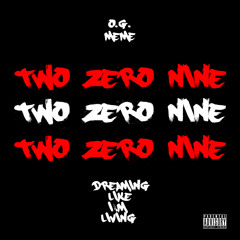 Two Zero Nine (UPDATED)