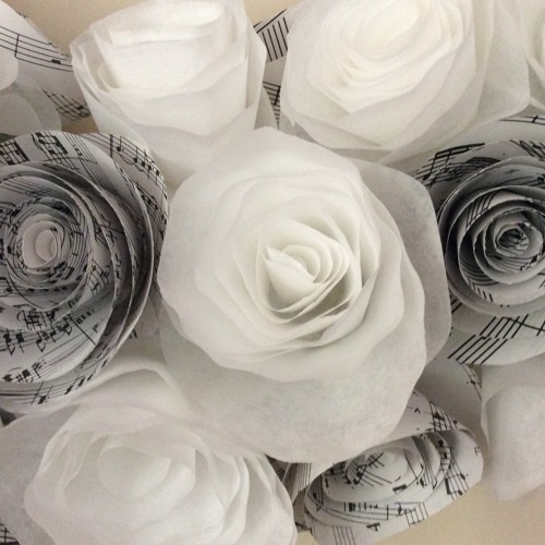 Seal's Kiss From A Rose