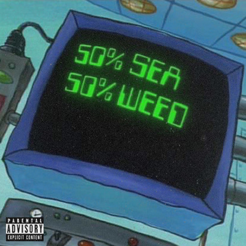 seaweed