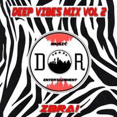 Deep Vibes Mix Vol 2