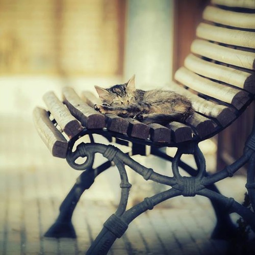 Demo Valentine Alone - Du'S