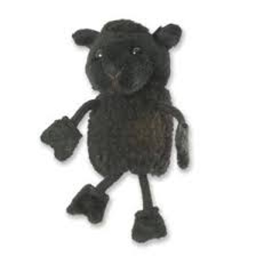 black sheep teddy