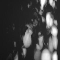 Dysarthique