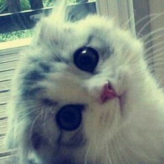 Marvin gaye charlie puth_cover for megan trainer by me.