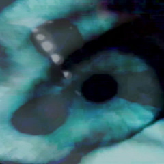 SWEET NOTHIN (HYBRID LIVE JAM)