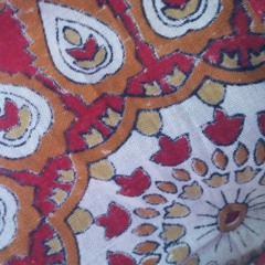 Bert's Blues (Donovan Cover)