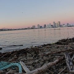New Orleans - Mississippi River