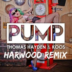 Thomas Hayden & Koos - Pump! (Harwood Remix)