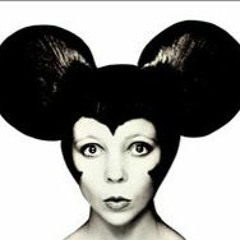 Shed Activity Vol. XVII