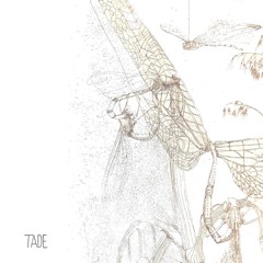Tade - Kepler (original mix) (underyourskin records)