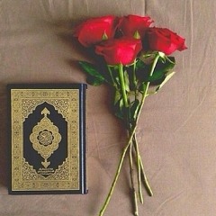 تلاوة خاشعة بصوت ( خالد الجليل )