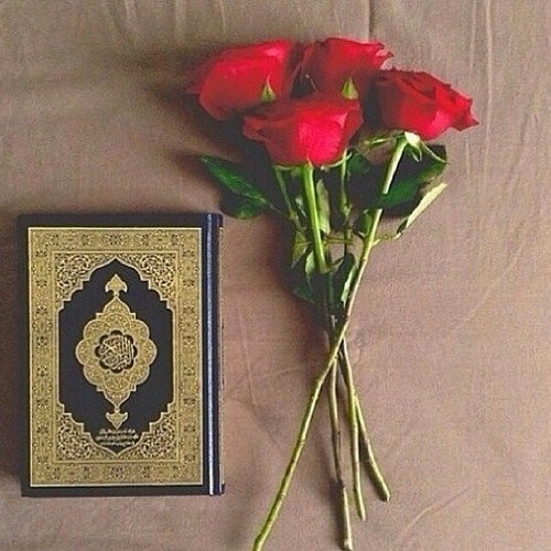 تلاوة خاشعة بصوت ( خالد الجليل )