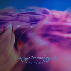 WINDYAWEIST