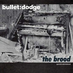 Gareth Whitehead & Tom Taylor - The Beginning Bulletdodge Records