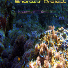 Enorsis Project